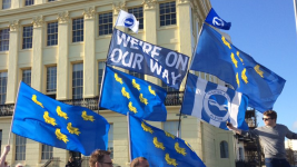 sussex flag bha parade 3.png