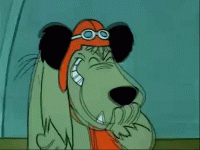 1ff649174c3952a4463849da104cb375_fellow-human-beings-that-have-muttley-laugh-meme_500-375.gif