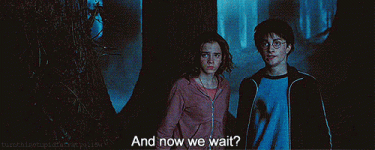 298d0ce9652c81932a1af0d39fa8bd9c3ca5fbc0.gif