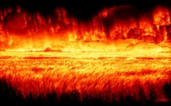 Fire.jpg