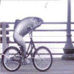 Fish_Bike_2.jpg
