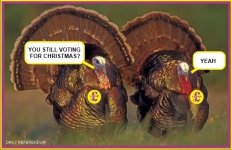 turkeys+UKIP+VOTING+FOR+CHRISTMAS.jpg