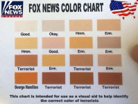fox news colour chart.PNG