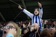 Swansea v Brighton and Hove Albion 2017-42.jpg Swansea v Brighton and Hove Albion 2017-42.jpg