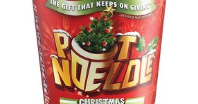 christmas-flavoured-pot-noodle-pic-pa-782213301.jpg