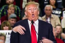 06-donald-trump-disabled-reporter.w710.h473.2x.jpg