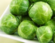 brussel-sprouts.jpg