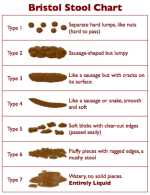 formidable-clay-colored-stool-image-design-bristol-color-chart-free.png