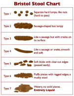 formidable-clay-colored-stool-image-design-bristol-color-chart-free.png formidable-clay-colored-stool-image-design-bristol-color-chart-free.png