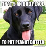 thats-an-odd-place-to-put-peanut-butter.jpg