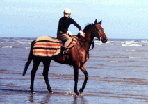 red-rum-on-southport-beach.gif