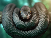 Black Mamba.png Black Mamba.png