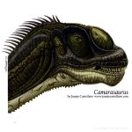 Castellano___Juanjo---Camarasaurus_b765.jpg