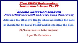2nd referendum.jpg