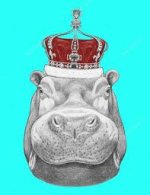Hippo.jpg