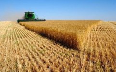 bbcc39e8652ef0f0d6e5393bb15c843e--wheat-fields-country-farm.jpg