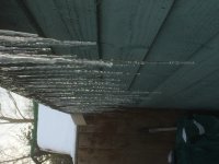 IMG_2635.JPG