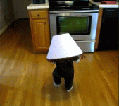 baby-runs-into-oven-with-lampshade-on-head (1).gif