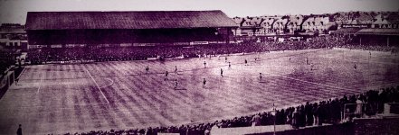 goldstoneground5a.jpg