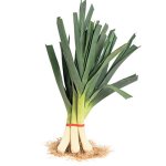 leek.jpg