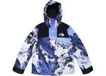 Supreme-The-North-Face-Mountain-Parka.jpg