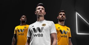 adidas-wolves-18-19-home-away-goalkeeper-kits-1.jpg