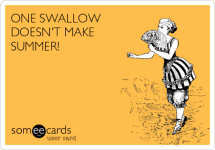 one-swallow-doesnt-make-summer-64abc.png