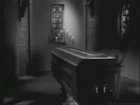 giphy (32).gif