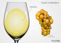 semillon-wine-and-grapes.jpg