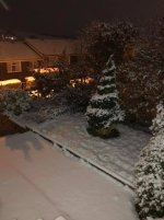 31.1.19 Snowfall.jpg