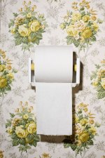 toilet-paper-roll.jpg