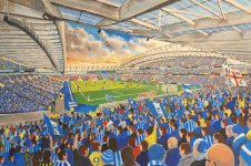 amex-stadium-fine-art-brighton-hove-albion-14645849.jpg