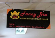 FannyBra02.jpg