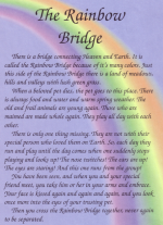 Rainbow Bridge.png