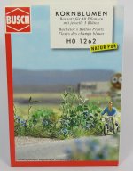 bnib-oo-ho-busch-1262-120-solo-cornflower-plants-with-blue-blooms-plants-kit-27276-p.jpg