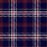 st george tartan.jpg