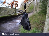 a-bag-containing-dog-waste-hangs-from-a-tree-by-a-path-in-a-derbyshire-FYABHK.jpg
