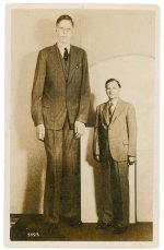 800px-Robert_Wadlow_postcard.jpg