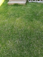 IMG_20190703_174633.jpg IMG_20190703_174633.jpg
