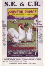 1921-poultry-show-at-crystal-palace-a3-poster-reprint-10264-p.jpg