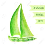 42781878-pea-ship-watercolor-green-peas-hand-drawn-watercolor-painting-on-white-background-vecto.jpg