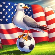 US Seagull